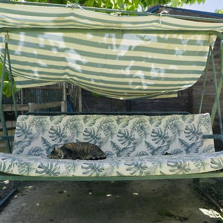Estudio Adosado Con Jardin Y Parking Privado Αλικάντε Εξωτερικό φωτογραφία