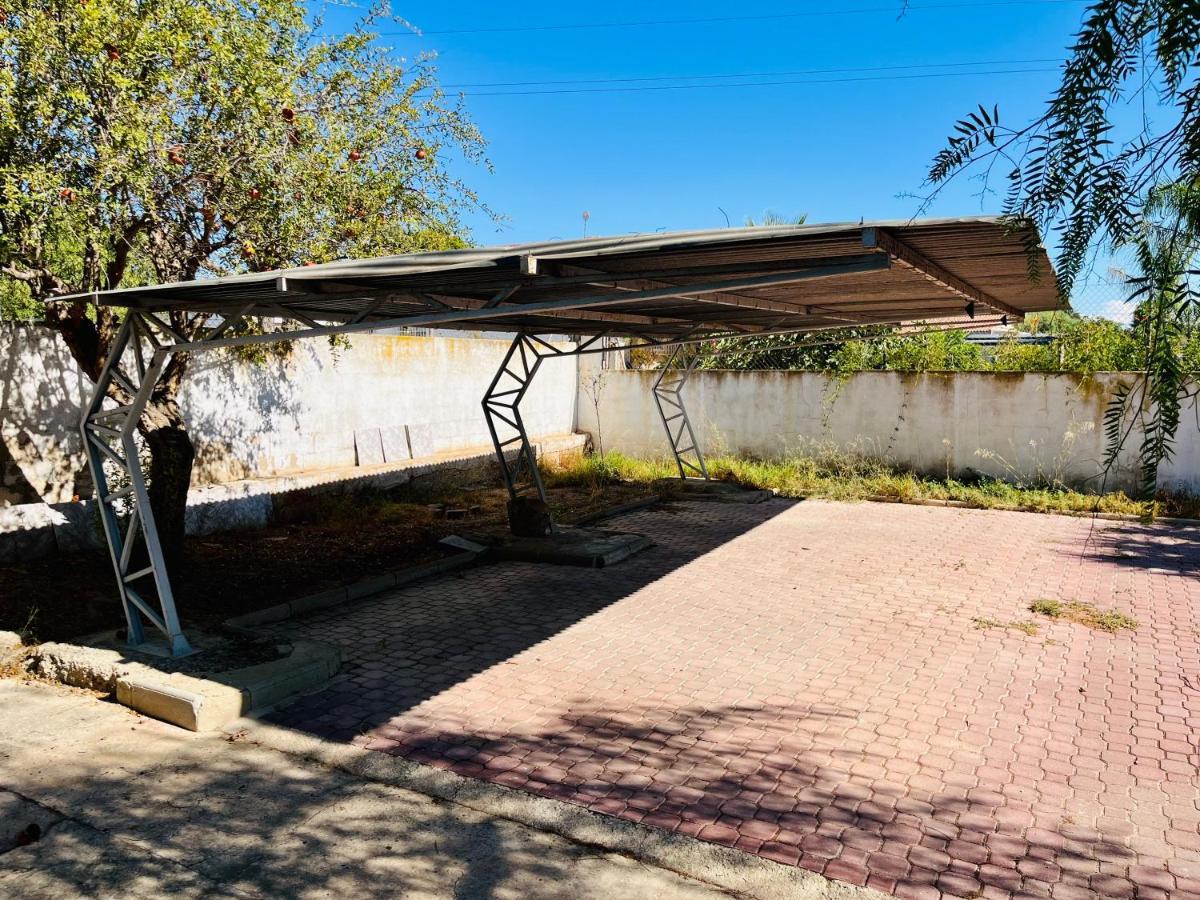Estudio Adosado Con Jardin Y Parking Privado Αλικάντε Εξωτερικό φωτογραφία