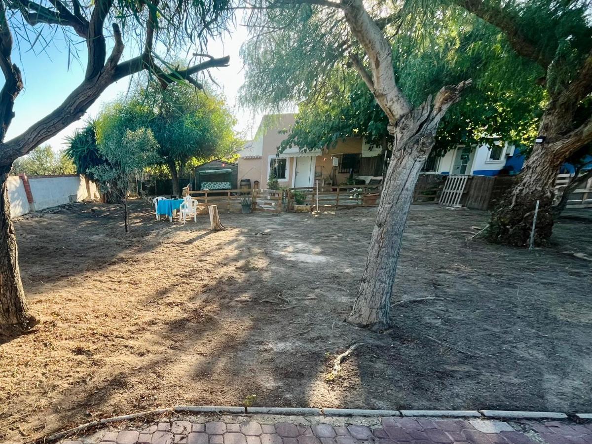 Estudio Adosado Con Jardin Y Parking Privado Αλικάντε Εξωτερικό φωτογραφία